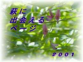 deai-title2001.jpg