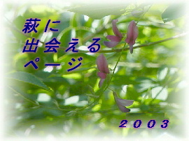 deai-title2003.jpg