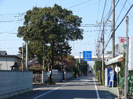 kumagaya-zdutsumi17s.jpg^vUԂ